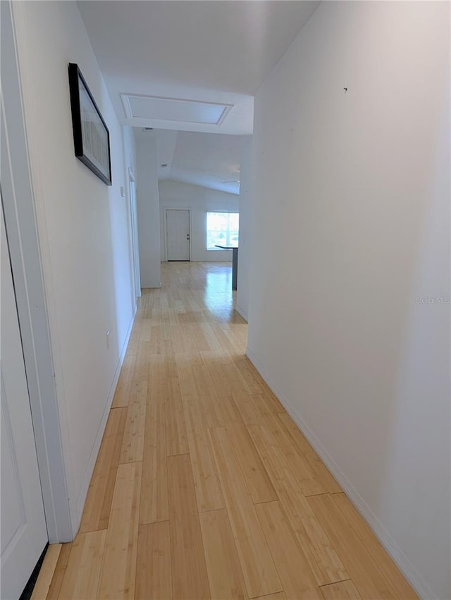 3770 44th Ave N, Saint Petersburg, FL 33714 - photo 20