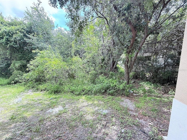 6448 Cypressdale Dr Unit 101, Riverview, FL 33578 - view of wooded area