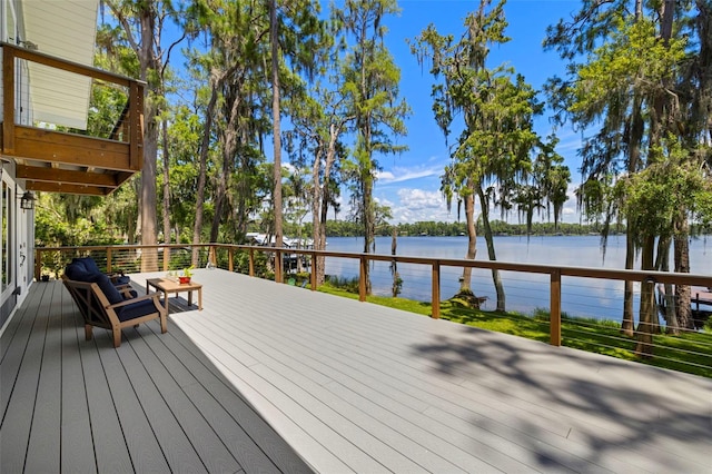 14412 Wadsworth Dr, Odessa, FL 33556 - photo 28