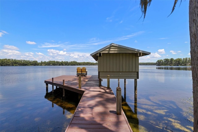 14412 Wadsworth Dr, Odessa, FL 33556 - photo 32