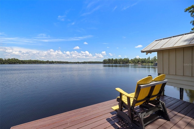 14412 Wadsworth Dr, Odessa, FL 33556 - photo 33