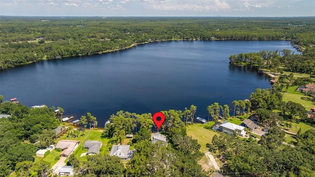 14412 Wadsworth Dr, Odessa, FL 33556 - photo 40