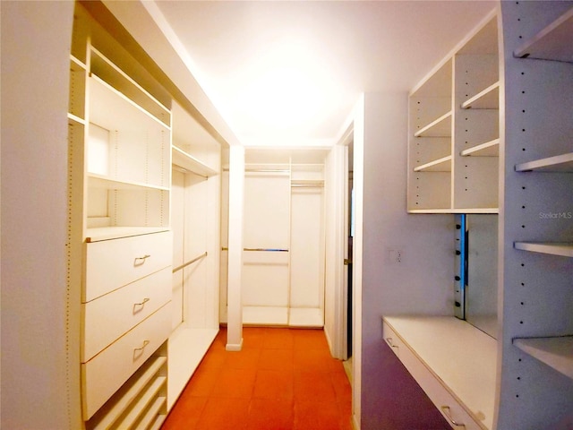 4900 38th Way S Unit 302, Saint Petersburg, FL 33711 - photo 10