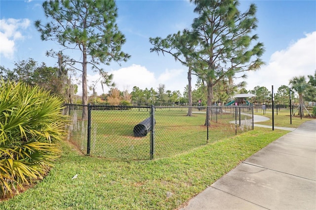 11831 Cross Vine Dr, Riverview, FL 33579 - photo 66