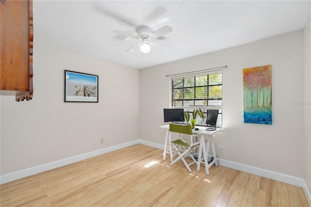 8787 Glen Lakes Blvd N, Saint Petersburg, FL 33702 - photo 20