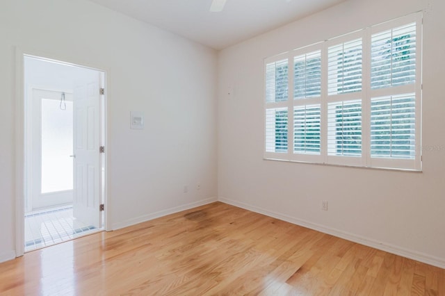 4308 Wheatland Way, Palm Harbor, FL 34685 - photo 32