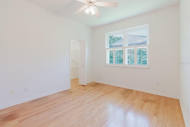 4308 Wheatland Way, Palm Harbor, FL 34685 - photo 35