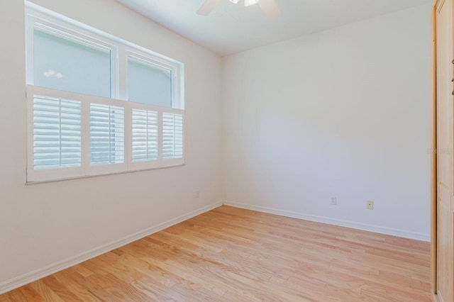 4308 Wheatland Way, Palm Harbor, FL 34685 - photo 39