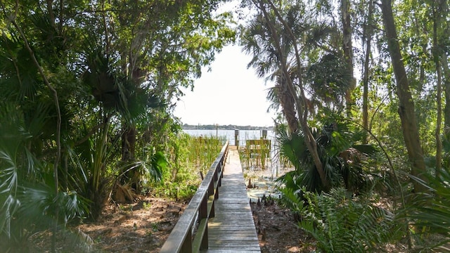 4308 Wheatland Way, Palm Harbor, FL 34685 - photo 51