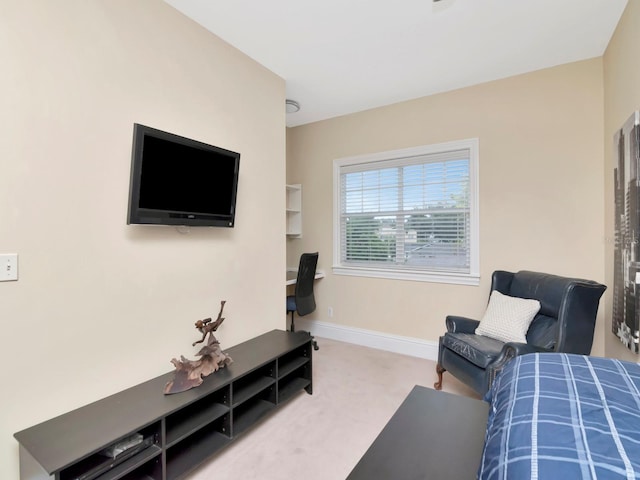 3609 S Waverly Pl, Tampa, FL 33629 - photo 29
