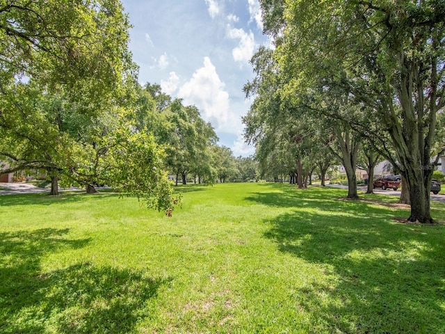 3609 S Waverly Pl, Tampa, FL 33629 - photo 42