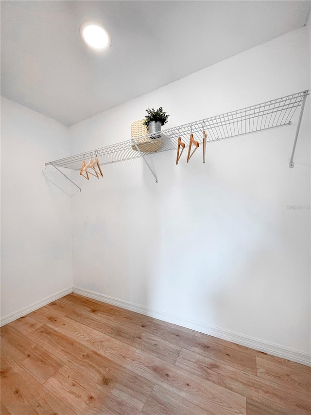13344 Sorrento Dr, Largo, FL 33774 - walk in closet with light wood-type flooring