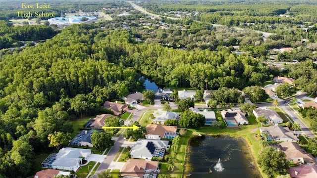 4535 Bardsdale Dr, Palm Harbor, FL 34685 - photo 67