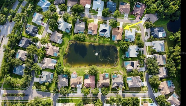 4535 Bardsdale Dr, Palm Harbor, FL 34685 - photo 69