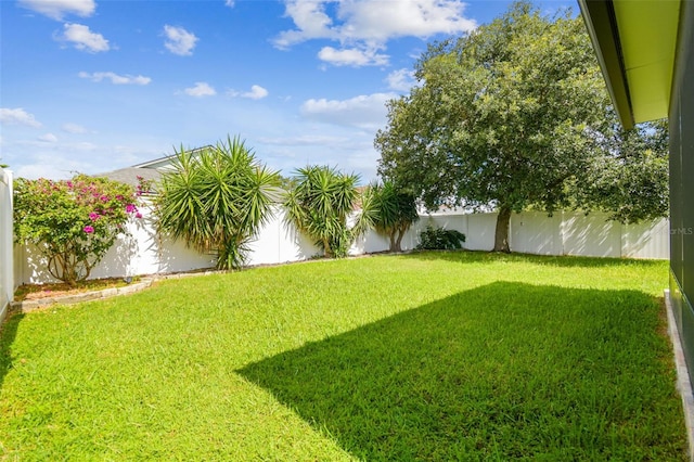 11566 Balintore Dr, Riverview, FL 33579 - photo 15