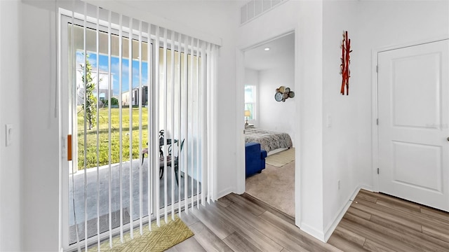 35529 Buttonweed Trl, Zephyrhills, FL 33541 - photo 9