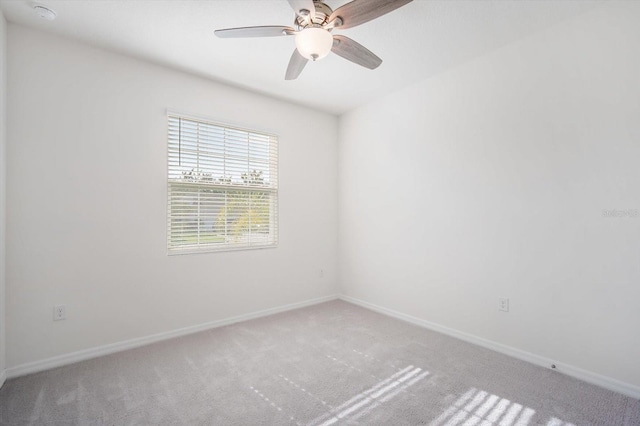7139 Steer Blade Dr, Zephyrhills, FL 33541 - photo 19