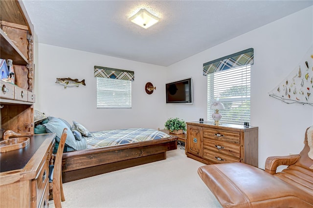 1807 Parkwood Dr, Valrico, FL 33594 - photo 24