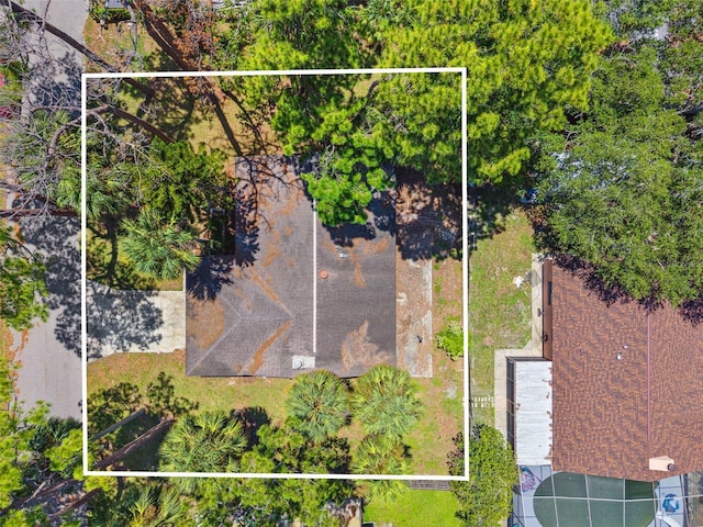 4935 Petunia Ct, New Port Richey, FL 34652 - photo 17