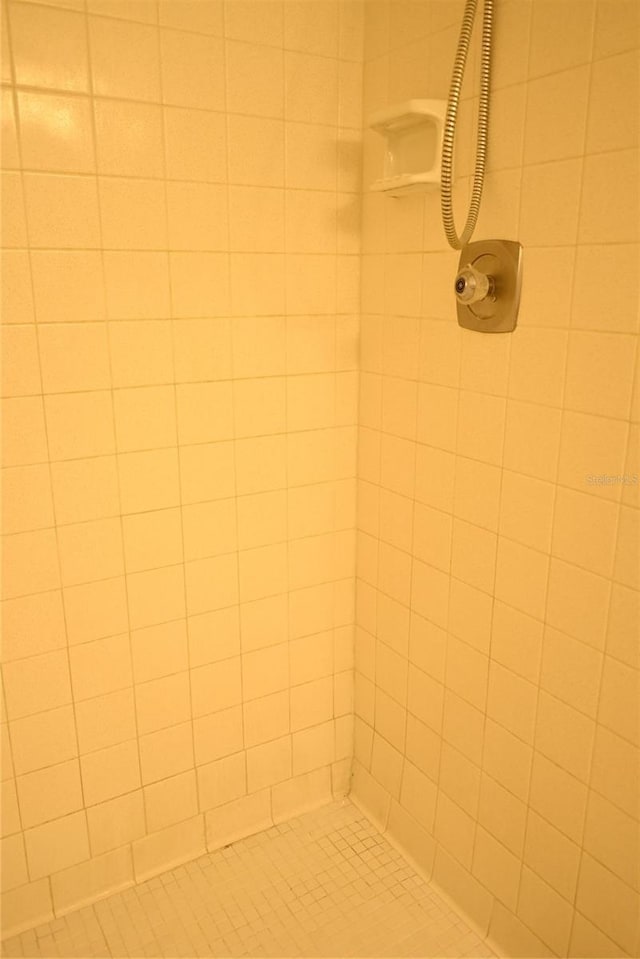 2800 Cove Cay Dr Unit 5D, Clearwater, FL 33760 - bathroom view of a tile shower