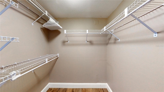 4950 Gulf Blvd Unit 1006, St Pete Beach, FL 33706 - walk in closet featuring wood finished floors