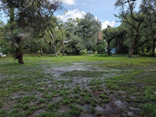 37742 Glades Ln, Zephyrhills, FL 33542 - photo 3