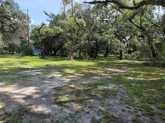 37742 Glades Ln, Zephyrhills, FL 33542 - photo 4