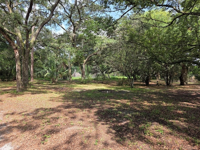 37742 Glades Ln, Zephyrhills, FL 33542 - photo 7