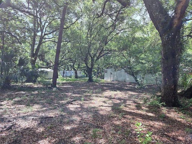 37742 Glades Ln, Zephyrhills, FL 33542 - photo 11