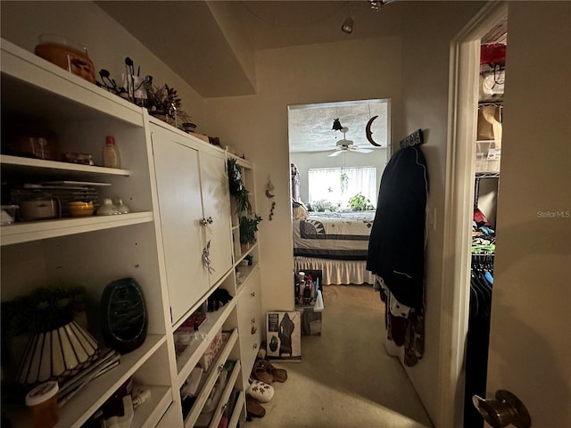 8651 10th St N Unit 212, Saint Petersburg, FL 33702 - photo 8