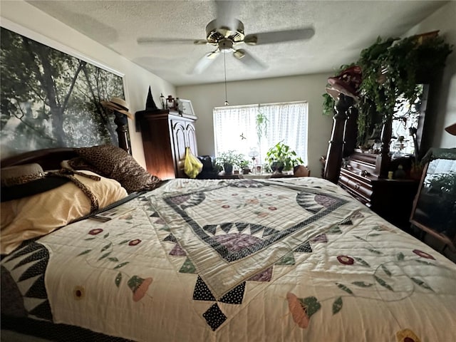 8651 10th St N Unit 212, Saint Petersburg, FL 33702 - photo 9