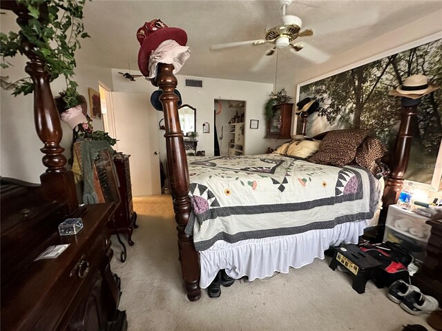 8651 10th St N Unit 212, Saint Petersburg, FL 33702 - photo 10