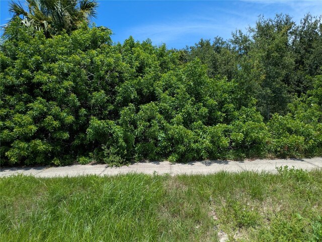 6041 County Line Rd, Spring Hill, FL 34606 - photo 2