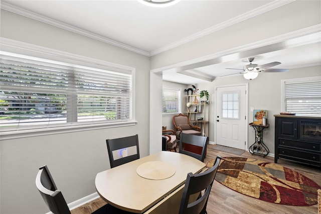 4607 W Clifford St, Tampa, FL 33611 - photo 17