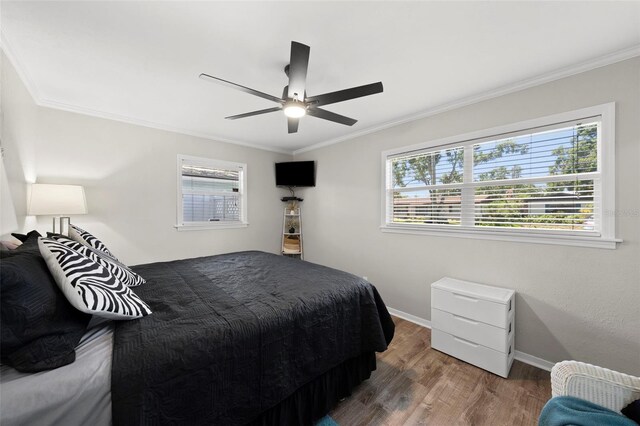 4607 W Clifford St, Tampa, FL 33611 - photo 25