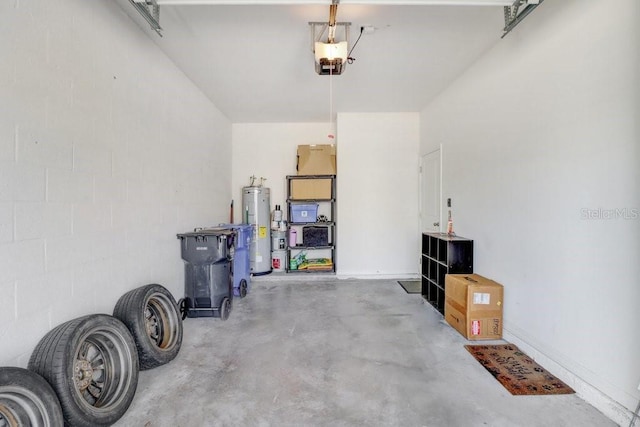 8516 Falling Blue Pl, Riverview, FL 33578 - photo 12