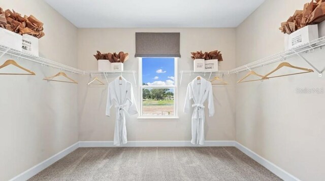 2422 Babbling Brook Blvd, Auburndale, FL 33823 - walk in closet with carpet