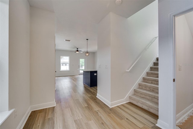 1933 W Chestnut St, Tampa, FL 33607 - photo 3