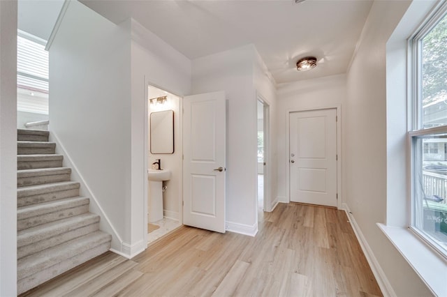 1933 W Chestnut St, Tampa, FL 33607 - photo 21