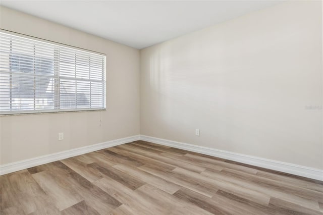 10388 Carrollwood Ln Unit 283, Tampa, FL 33618 - photo 12