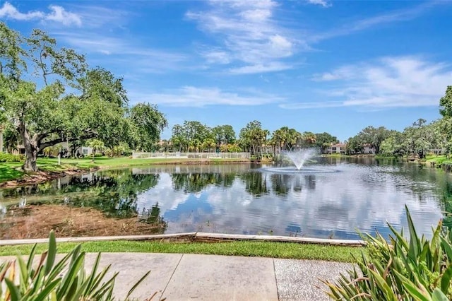 10388 Carrollwood Ln Unit 283, Tampa, FL 33618 - photo 21