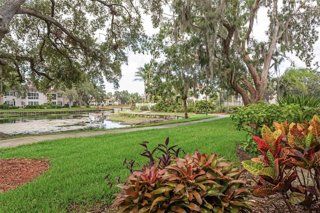 10388 Carrollwood Ln Unit 283, Tampa, FL 33618 - photo 25