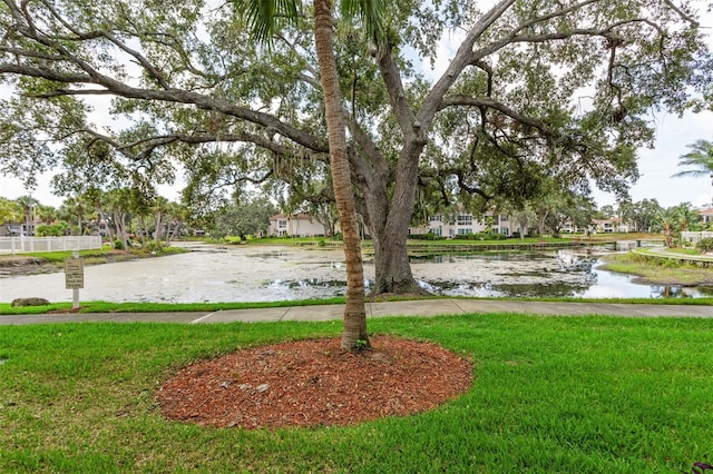 10388 Carrollwood Ln Unit 283, Tampa, FL 33618 - photo 26
