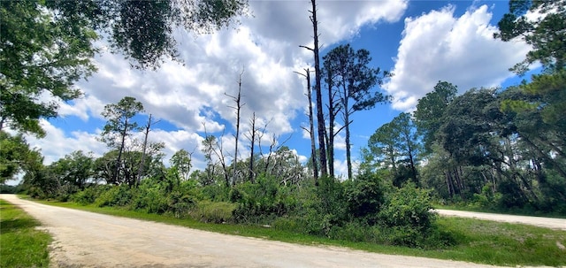 00 Coral Rock Dr Unit 5, Webster, FL 33597 - photo 2