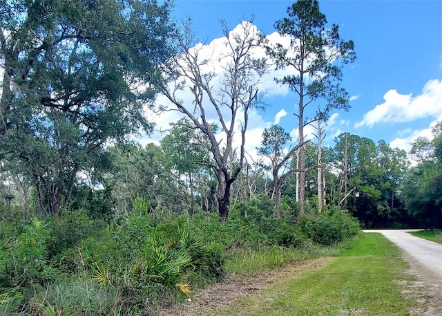 00 Coral Rock Dr Unit 5, Webster, FL 33597 - photo 3