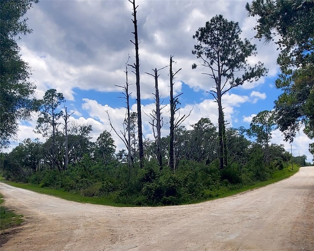 00 Coral Rock Dr Unit 5, Webster, FL 33597 - photo 4