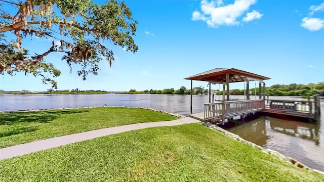 424 Doric Ct, Tarpon Springs, FL 34689 - photo 57