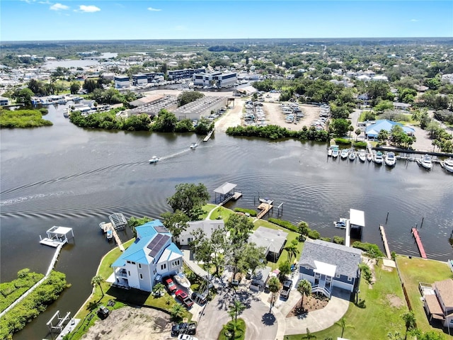 424 Doric Ct, Tarpon Springs, FL 34689 - photo 69