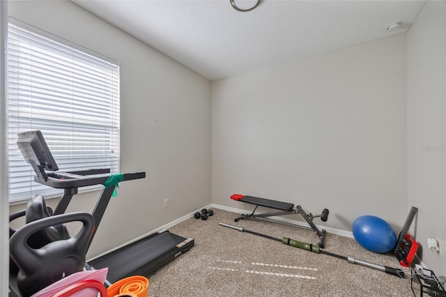 13801 Newport Shores Dr, Hudson, FL 34669 - photo 17
