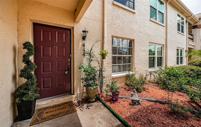 7911 Hardwick Dr Unit 414, New Port Richey, FL 34653 - photo 15